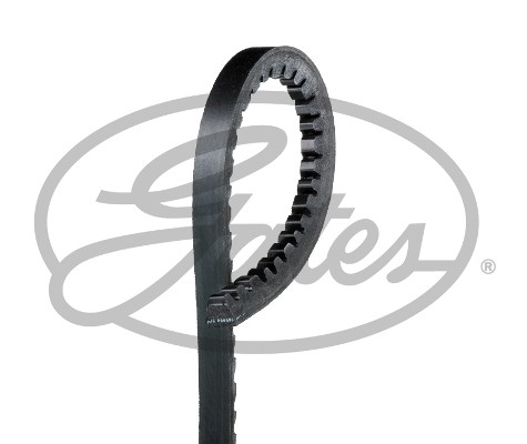 Belt for isuzu iveco - v-belt,