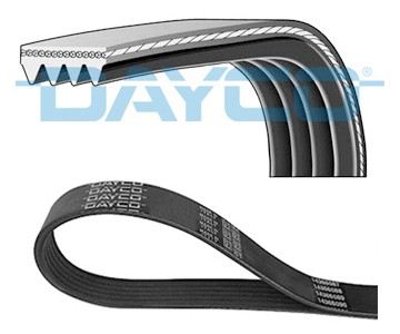 Ribbed belt for - belt,