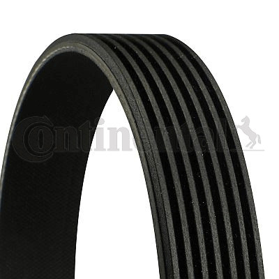 Ribbed belt for fiat iveco - belt,