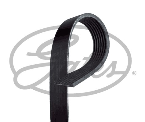 Ribbed belt for - for, iveco:daily